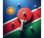 Namibia Table Tennis Association