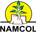 NAMCOL