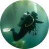 Kelp Blue Dawn Aquaculture (Pty) Ltd