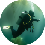 Kelp Blue Dawn Aquaculture (Pty) Ltd