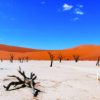 Sense of Africa