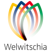 WELWITSCHIA UNIVERSITY