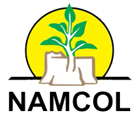 Namibian College of Open Learning