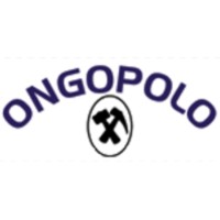 Ongopolo Mining Limited