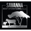 Savanna Beef Operations (Pty) Ltd